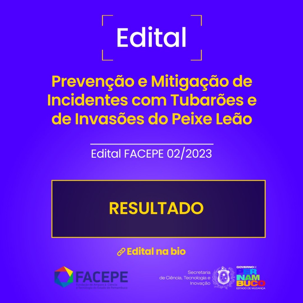 Confira o resultado do julgamento do edital de mitigação de incidentes com tubarões e peixe leão