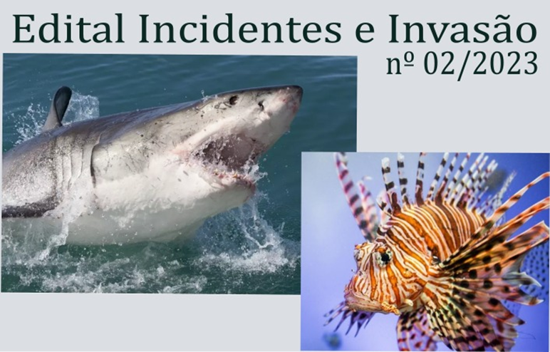 FACEPE divulga o 3º Adendo ao Edital 02/2023 – Prevenção e Mitigação de Incidentes com Tubarões e de Invasões do Peixe Leão em Pernambuco