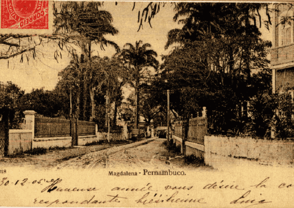 "Madalena - Pernambuco", León de Rennes & Cia. Coleção Josebias Bandeira, Acervo Fundação Joaquim Nabuco.